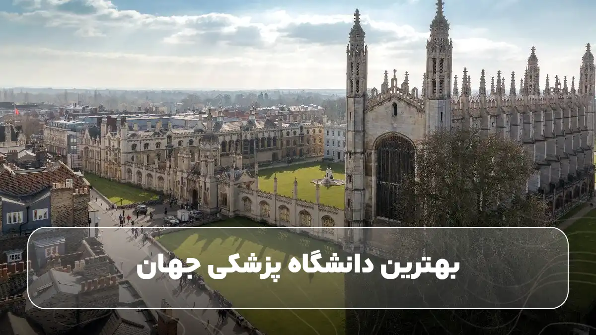 بهترین دانشگاه پزشکی جهان