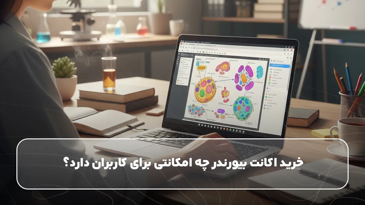 خرید اکانت بیورندر چه امکانتی برای کاربران دارد؟